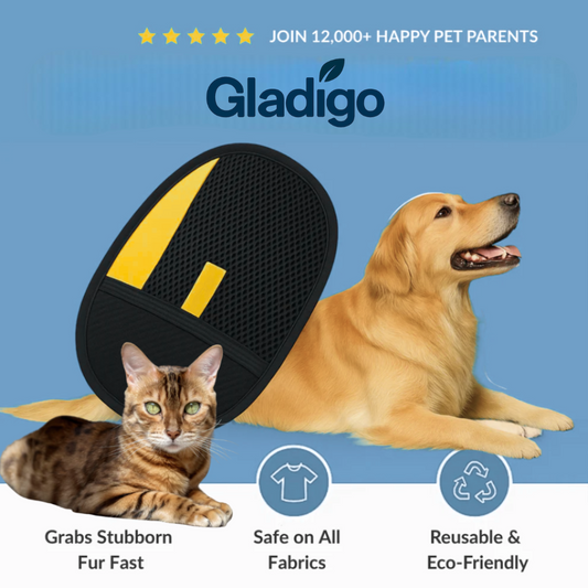 FurGone™  2-in-1 Pet Hair Removal & Grooming Glove