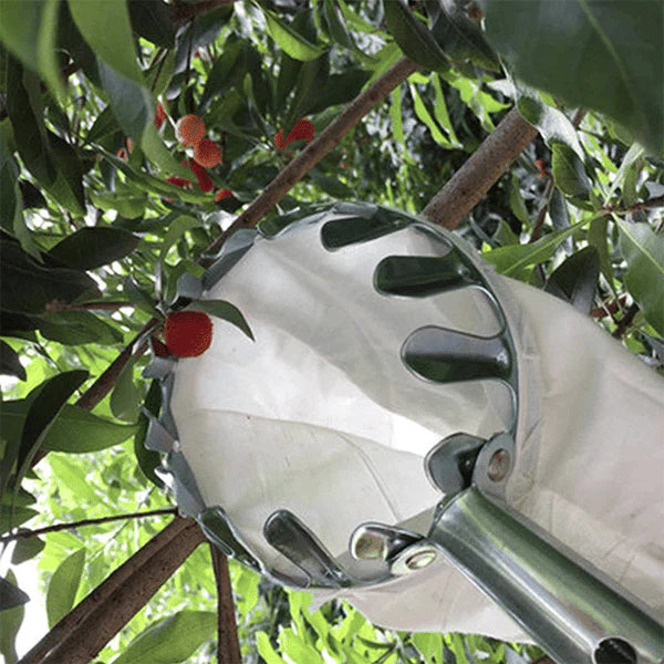 Gladigo™ Fruit Picker & Catch