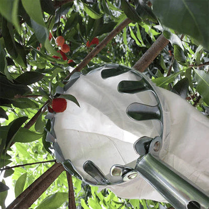 Gladigo™ Fruit Picker & Catch